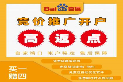案例研究：关键词竞价排名实战技巧